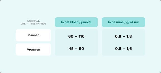 creatinine normale waardes