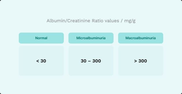 Infographics ratio albymin en creatinine